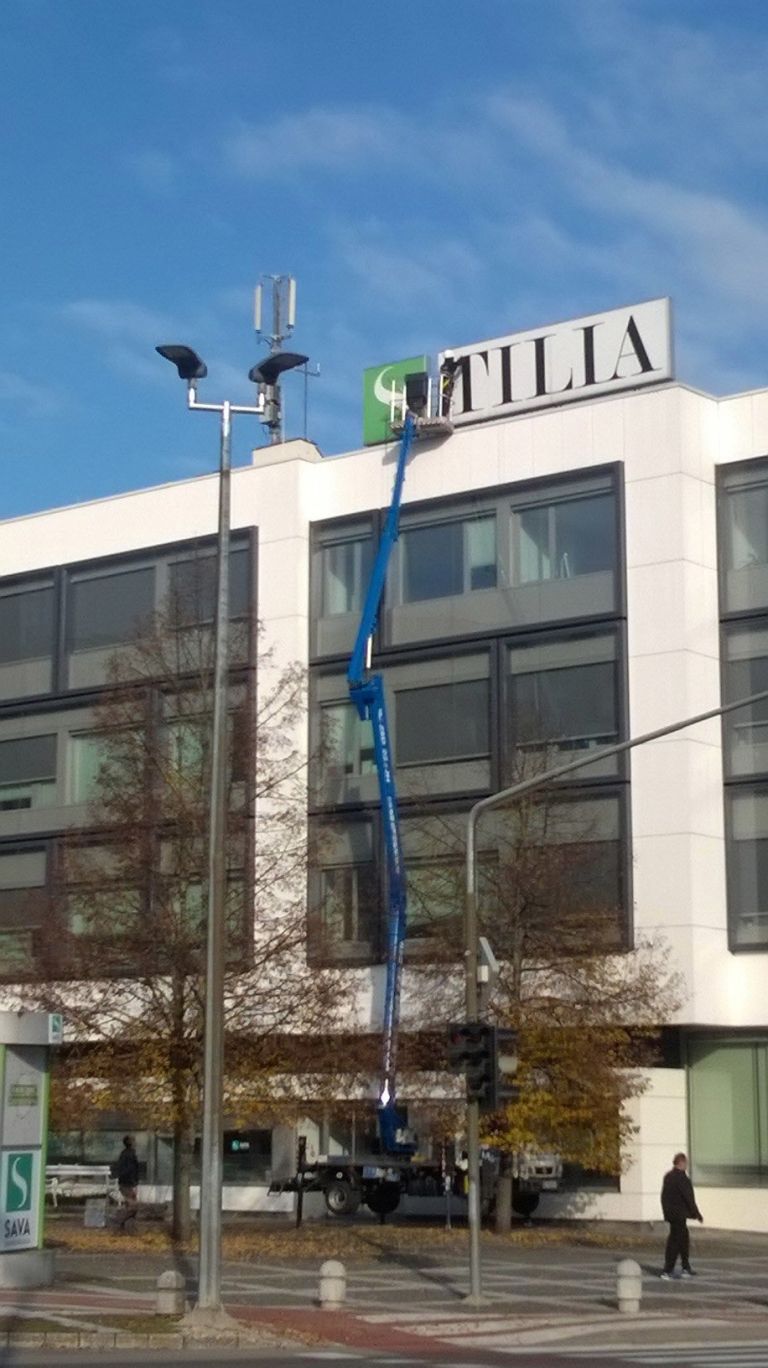 tilia_.jpg