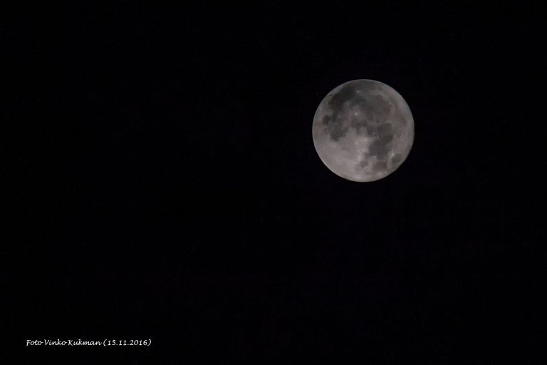 luna__1_.jpg