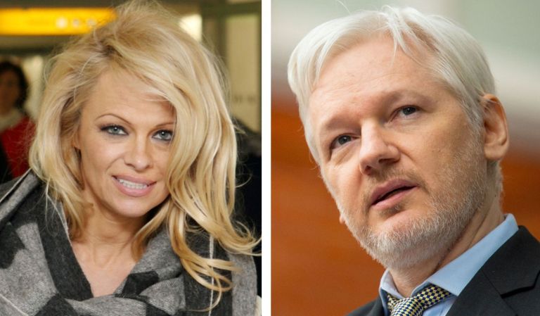 assange pamela.jpg