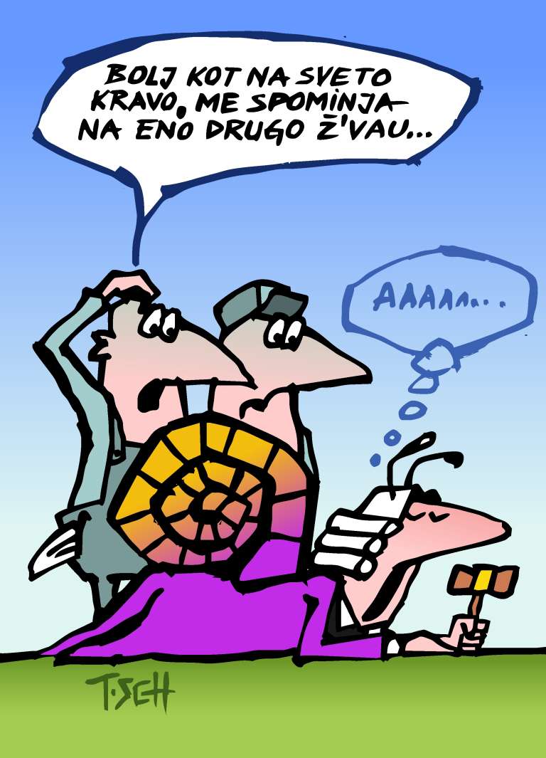 karikatura_Slovensko sodstvo.jpg