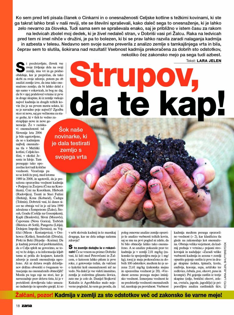 zemlja_Zarja_47.jpg