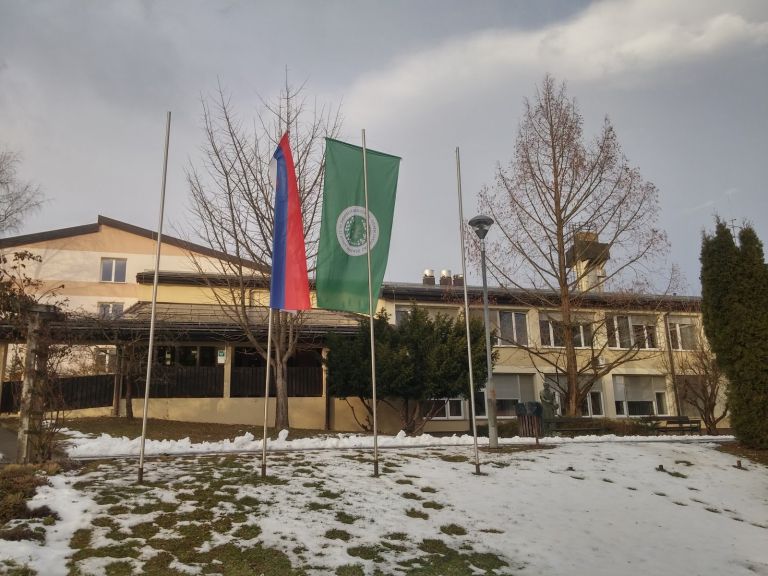 20170203_161151_hdr.jpg