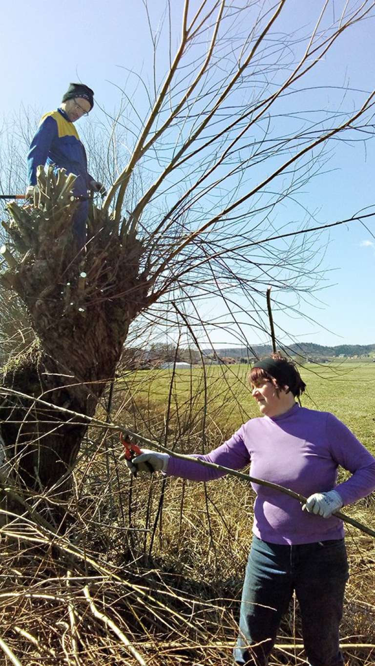 _damjan_in_marinka_pri_obrezovanju_vrb.jpg