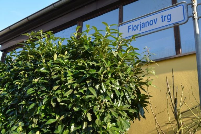 trznica2.jpg