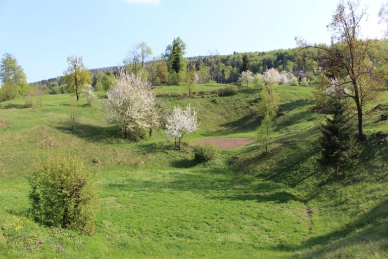 Kum sadovnjaki.jpg