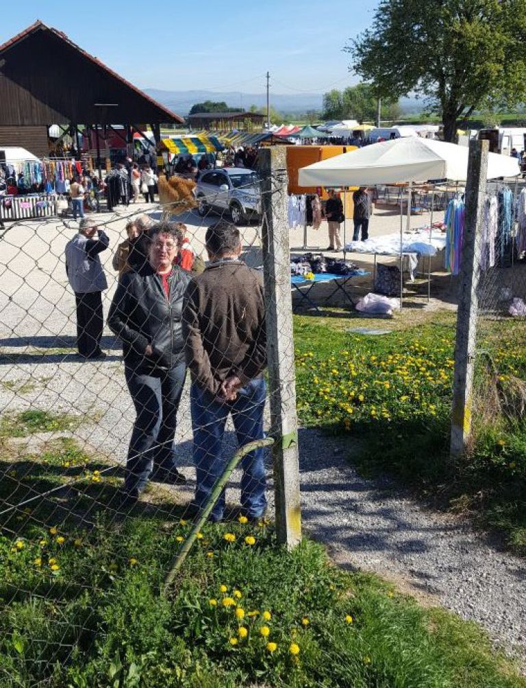 sejem_001.jpg