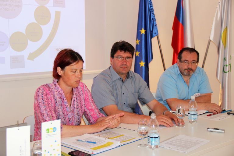 prometna_strategija_brezice_1.jpg