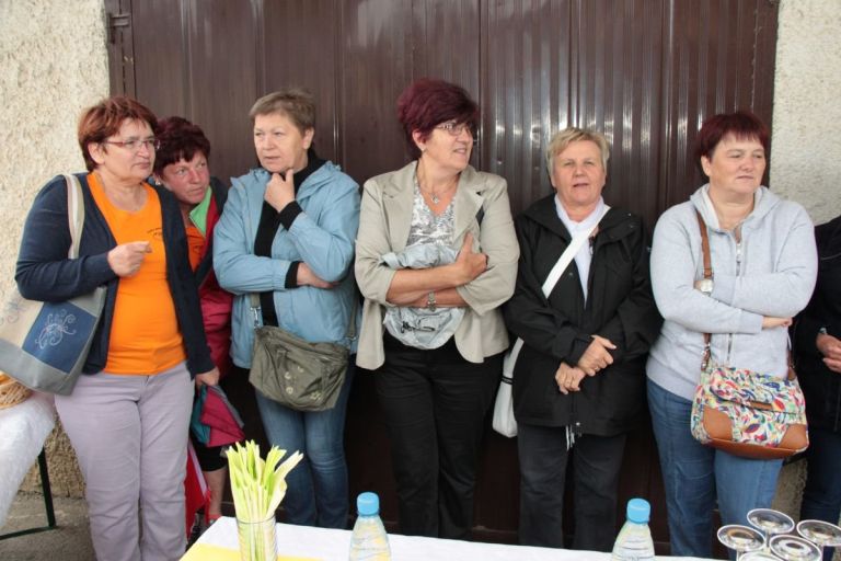 jelka_krivec01.jpg