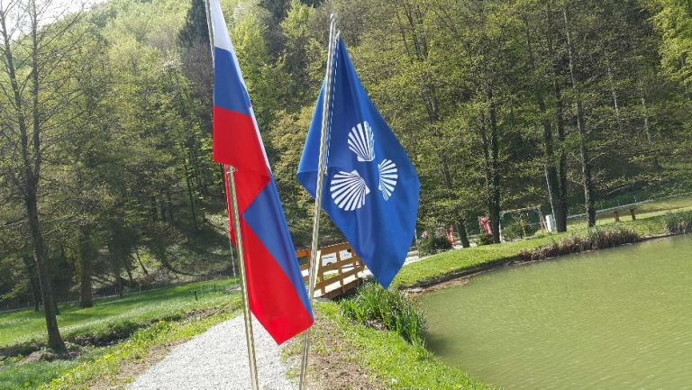 mirna___zastavi_ob_ribniku_foto_lapego.jpg