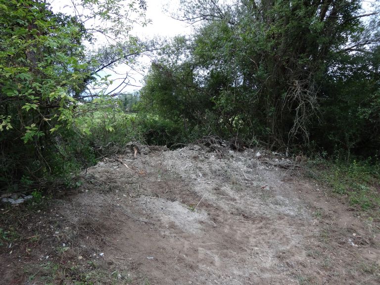 dsc04544.jpg