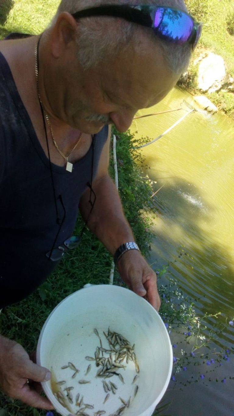 ribe_blato11.jpg
