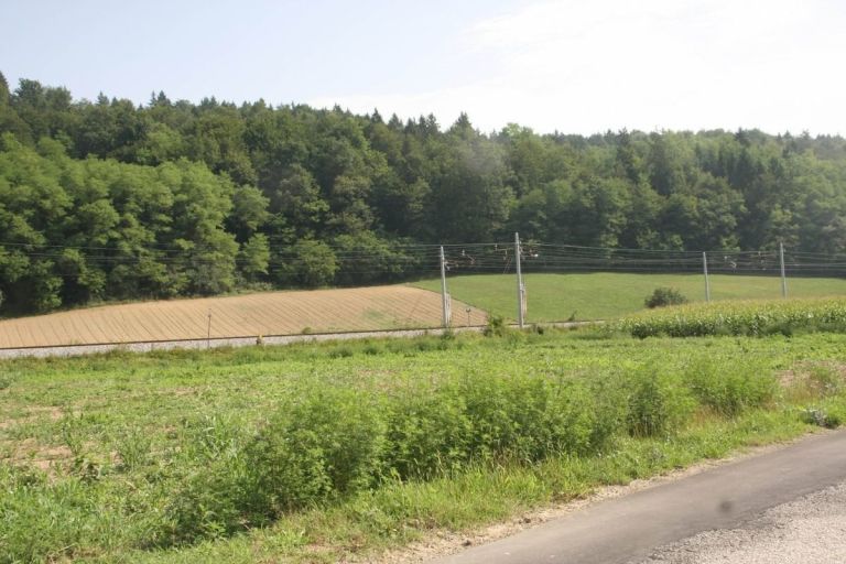 farma.jpg