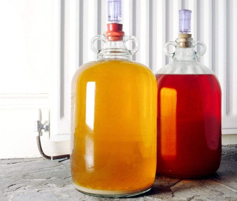 fermentacija, vrenje, vino
