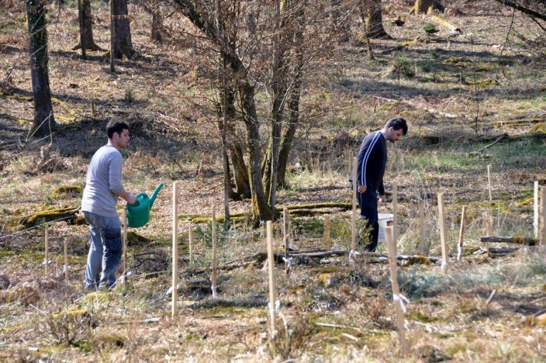 9_zalivanje_sadik_30_3_2017_0001.jpg
