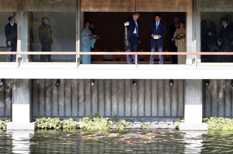 trump ribe.jpg