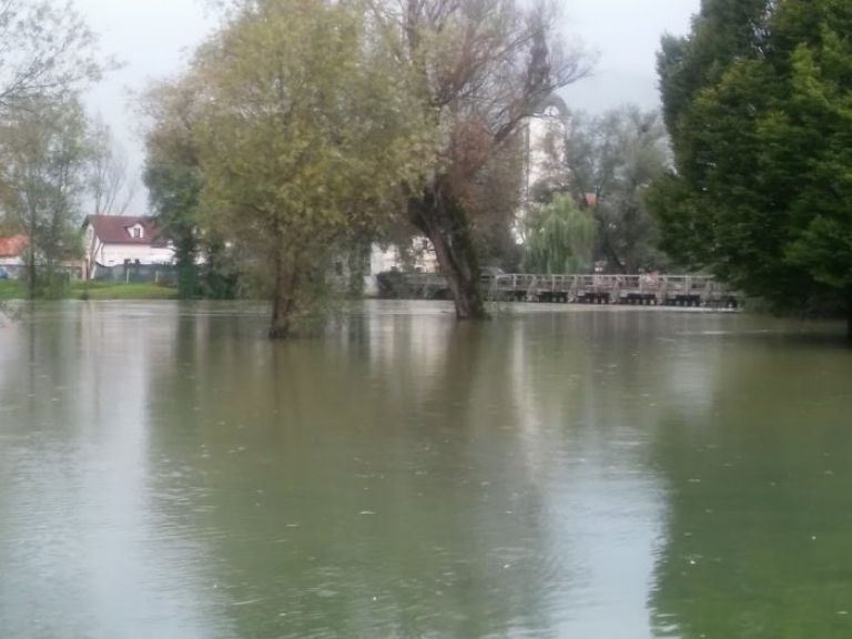 kostanjevica_7_0001.jpg
