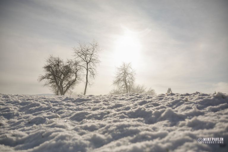 mikipavlinfoto_11.jpg