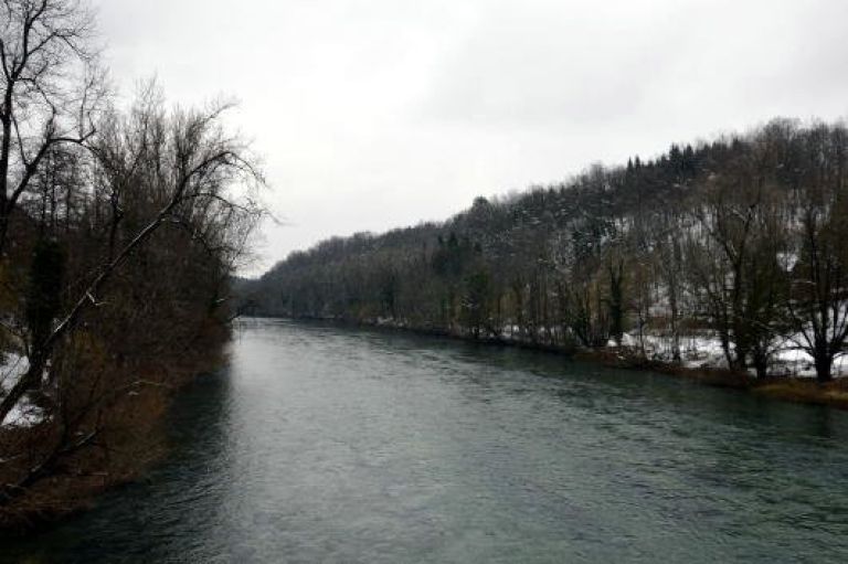 dsc_0539_3_1_1.jpg