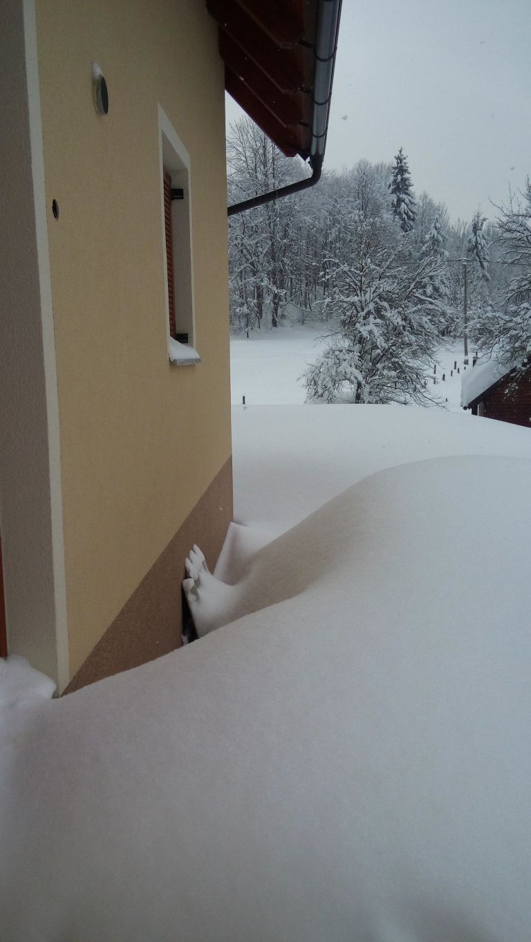 20180225_115134.jpg