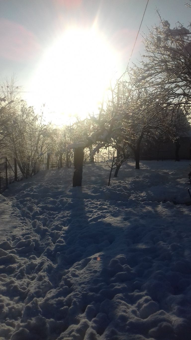20180204_083428.jpg