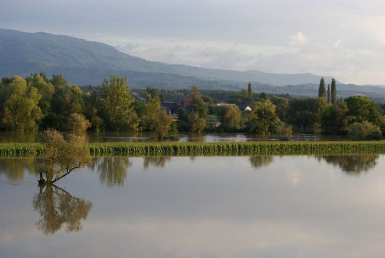 poplavetravnik.jpg