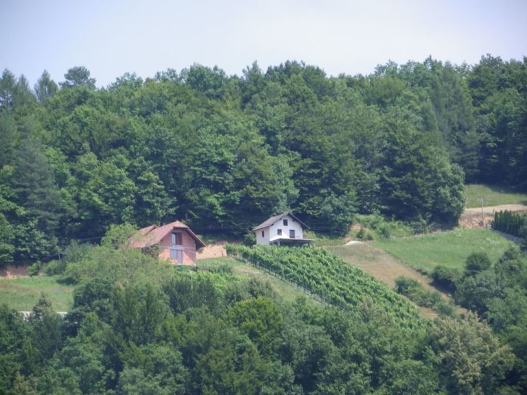v_trebanjski_ob__ini_je_najve__.jpg