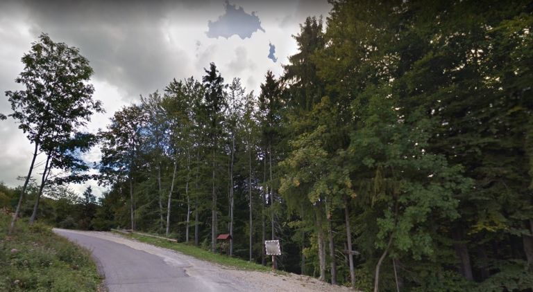 Hrastnik Cesta Turje.jpg