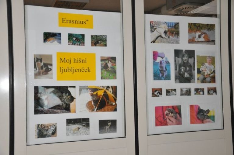 hisni_ljubljencek___1.jpg