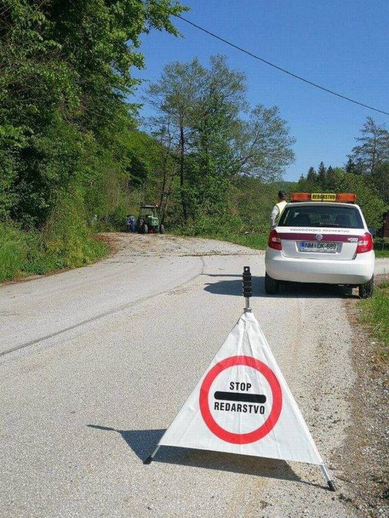 drevje011.jpg