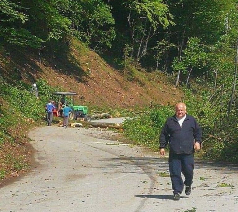 drevje012_0001.jpg