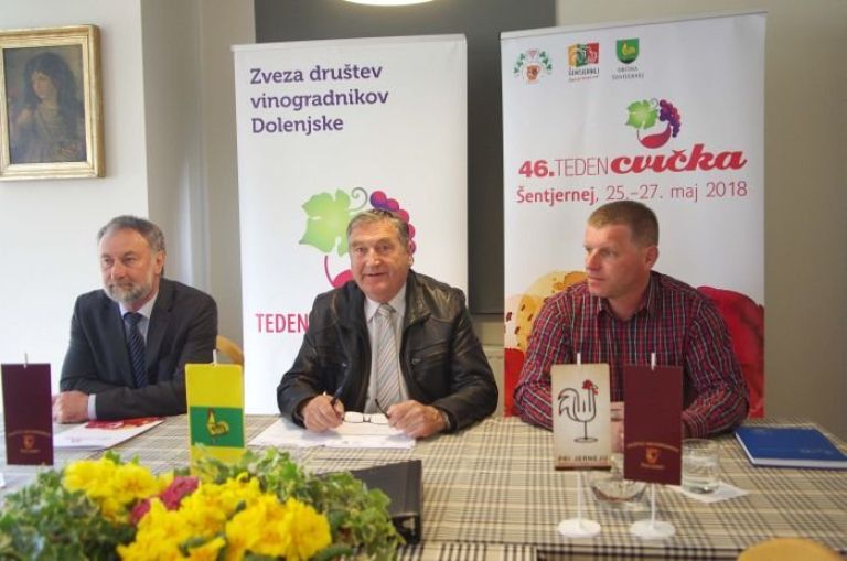 sentjernej__030.jpg