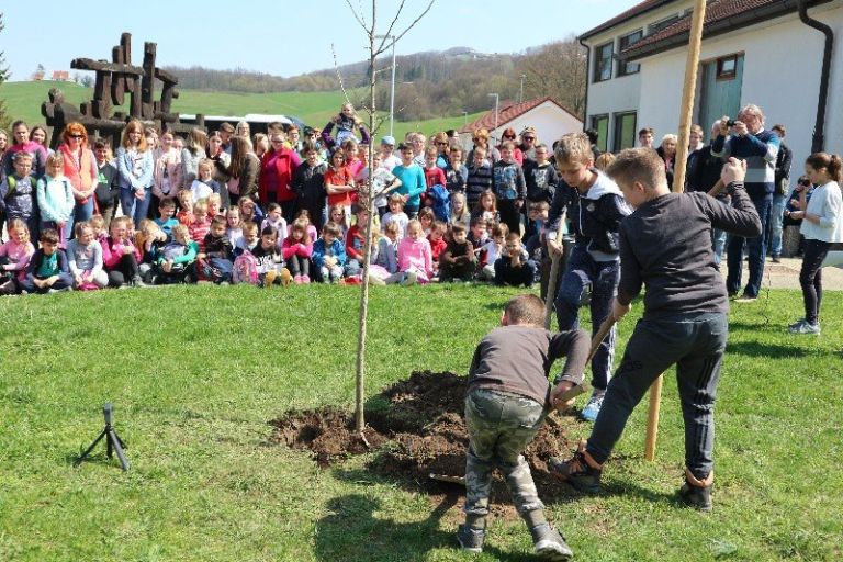 eko_dan_kostanjevica___9.jpg