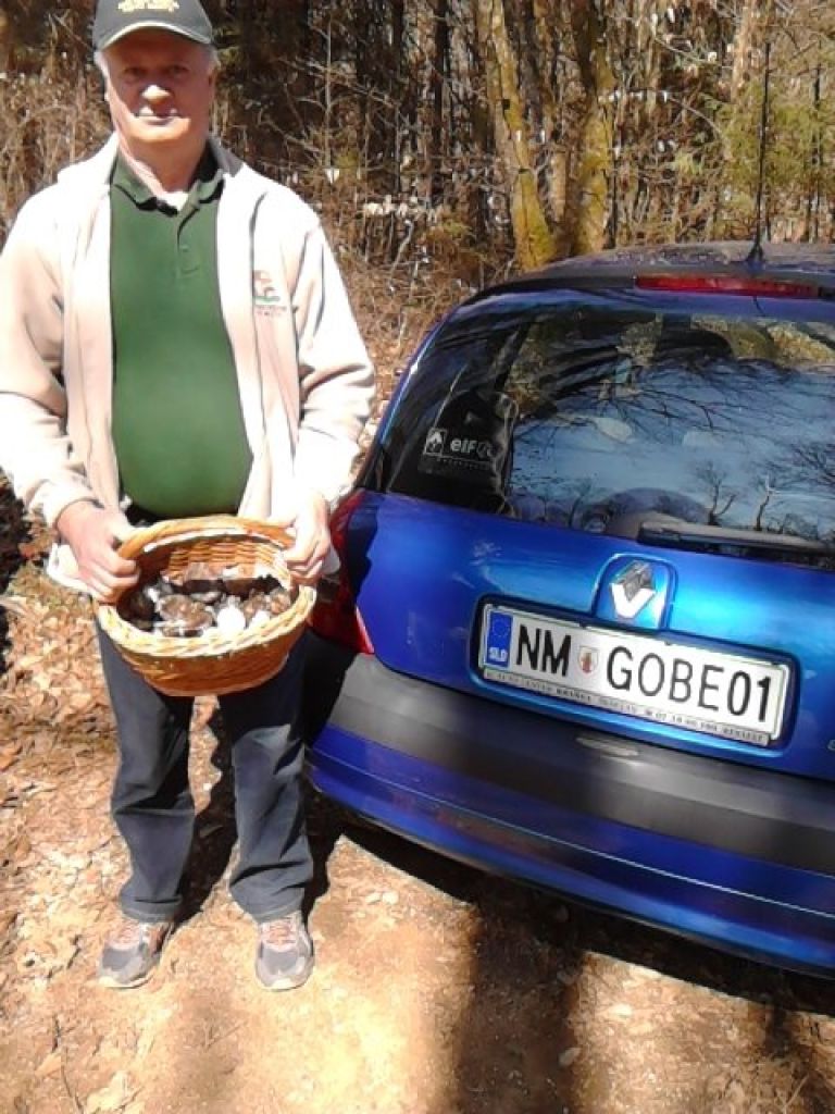 _zzzzzgobe.jpg