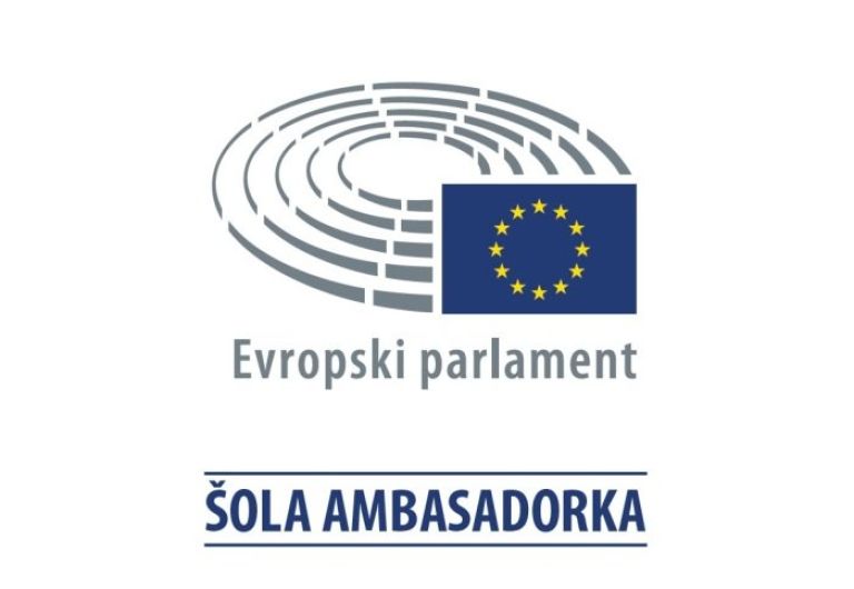 dan_evrope_brezice__29.jpg