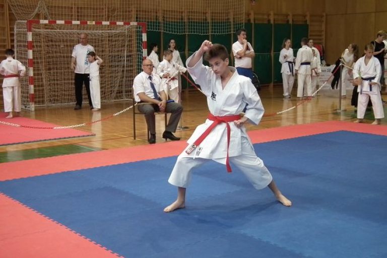_zzzzzzzkarate__4_.jpg