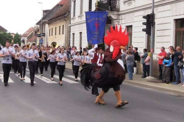 _zcvicek.jpg
