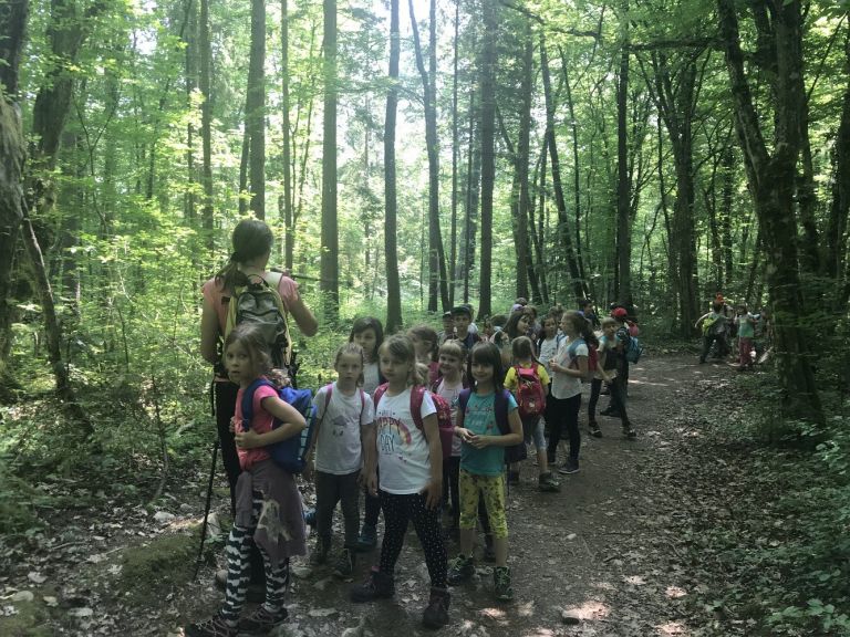 pohod_mokronog___01.jpg