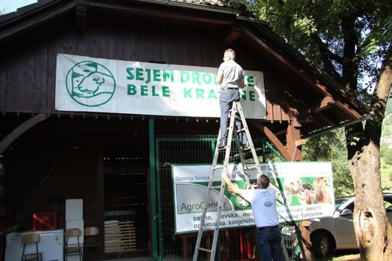 drobnica_semic__55.jpg