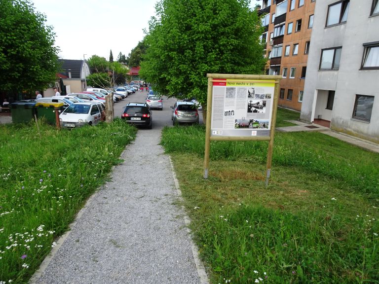 dsc00387.jpg