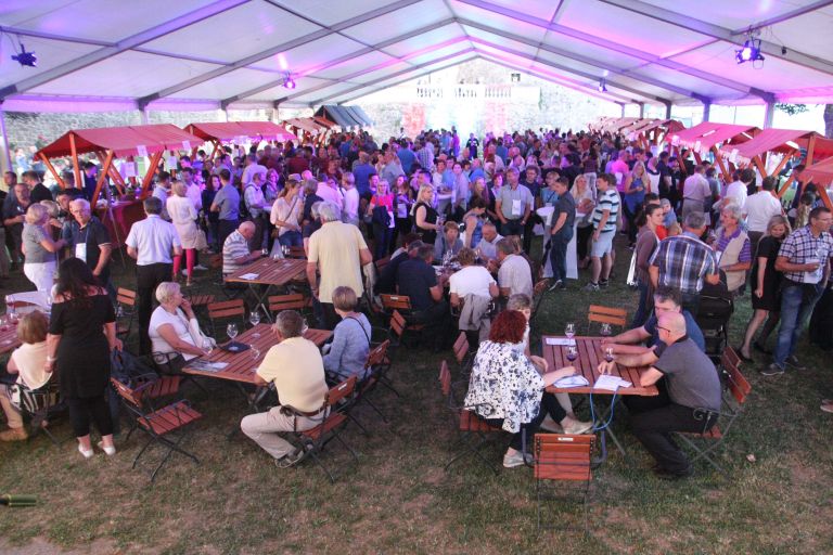 festival_modre_frankinje_sevnica_01.jpg