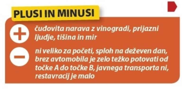_zstraza__12_.jpg