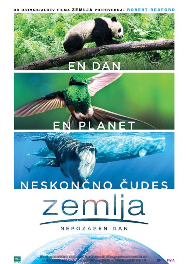 _zzzzzzzletni__2_.jpg