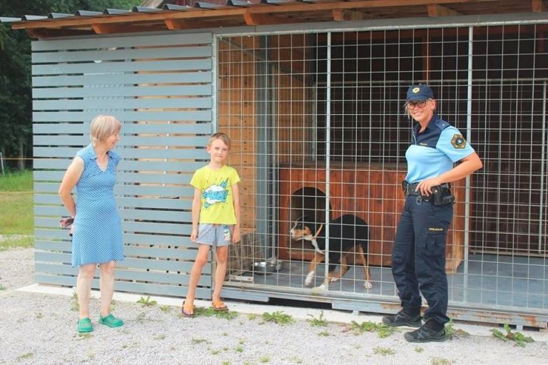 vodniki_sluzbenih.jpg