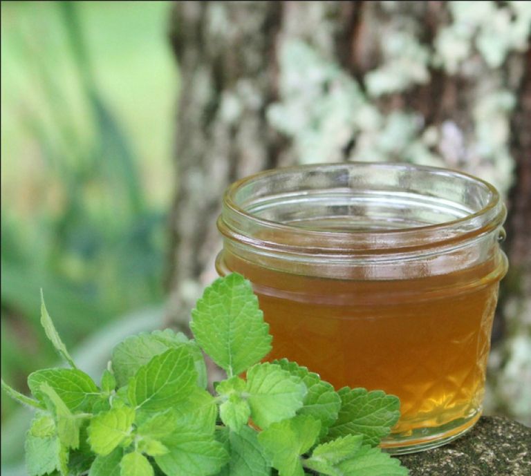melisin sirup.png