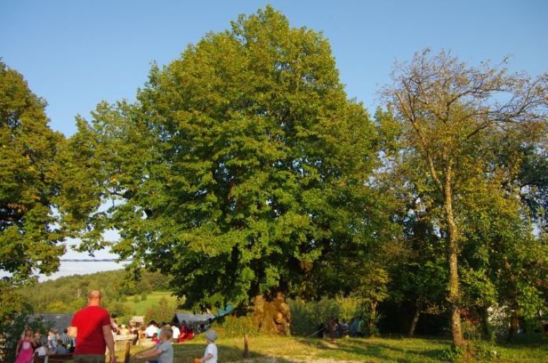 turska_022.jpg