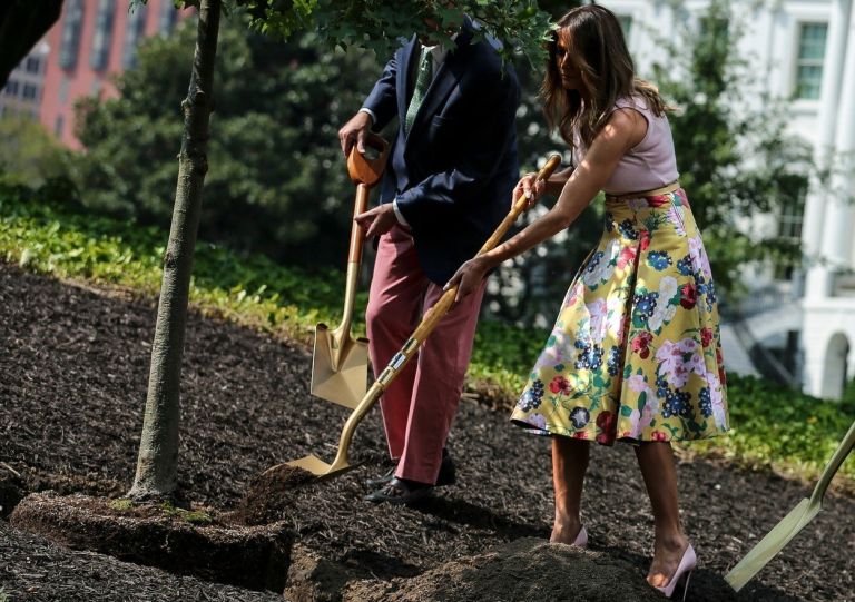 melania trump sadi drevo.jpg