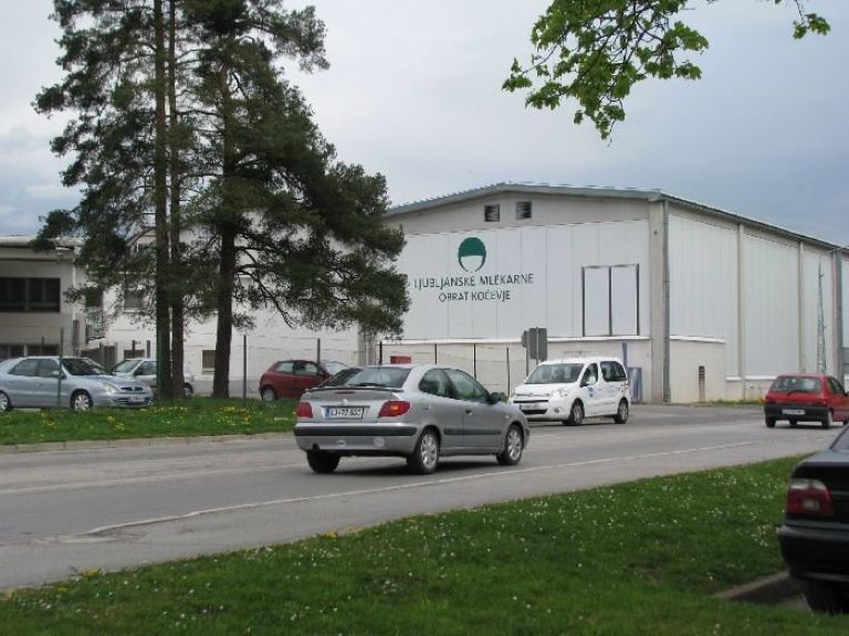 roska001.jpg