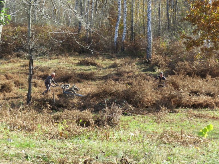 img_5551_2_1_000.jpg