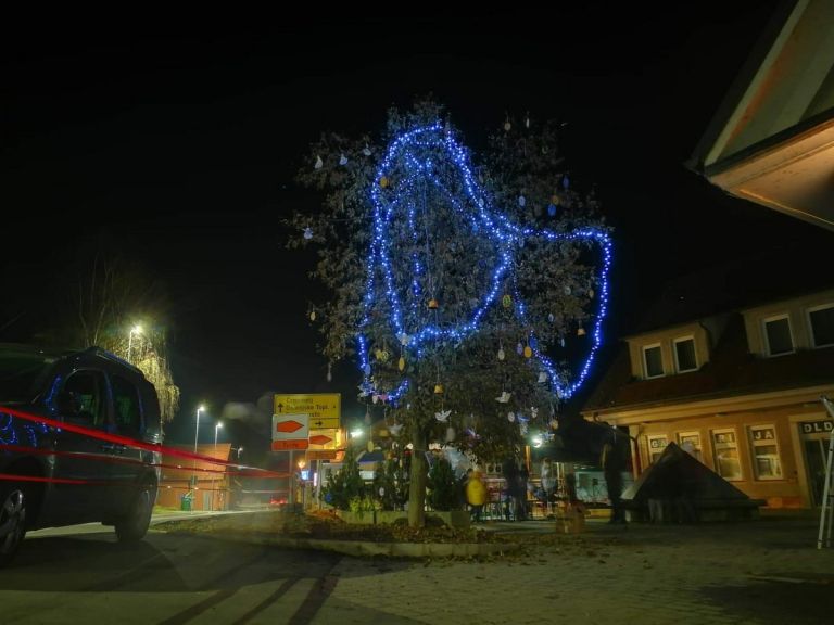 dsc_0078.jpg