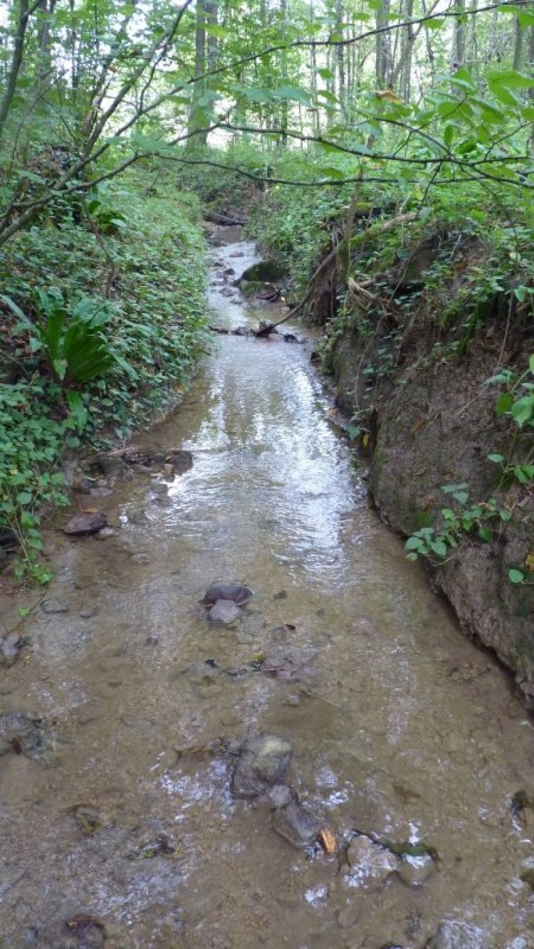 _p1180020.jpg